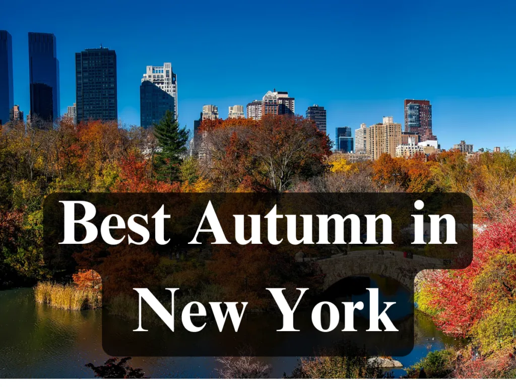 Best Autumn in New York. EasyCheapAirfare