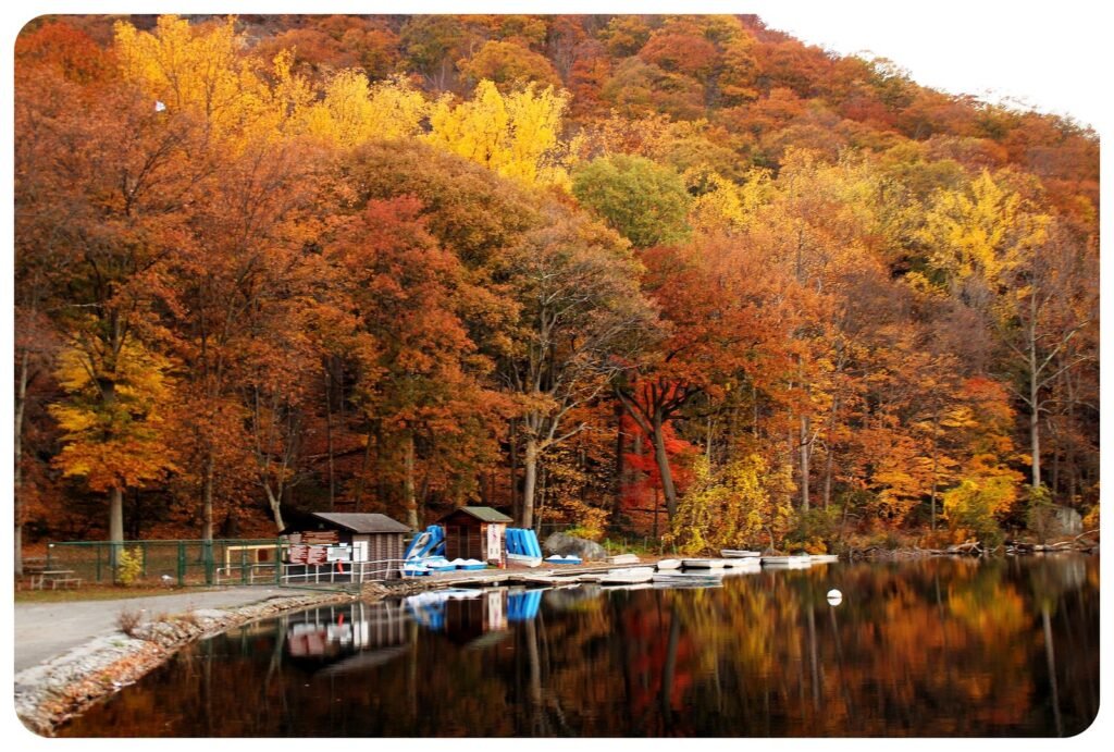 Best Autumn in New York