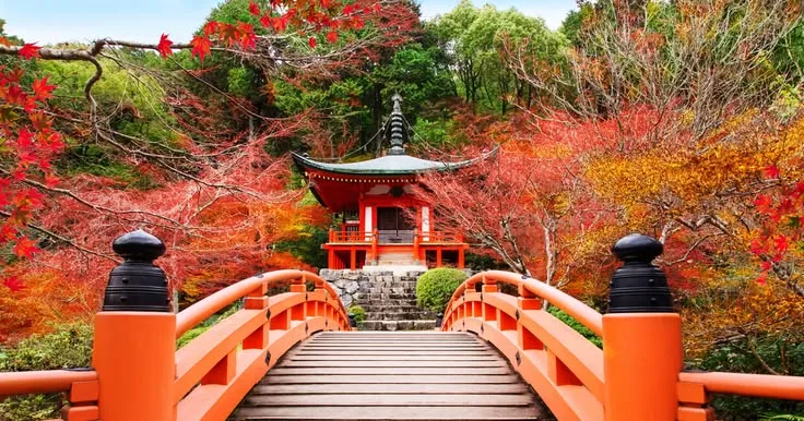 Fall Travel Deals: Find Cheap Flights in Autumn